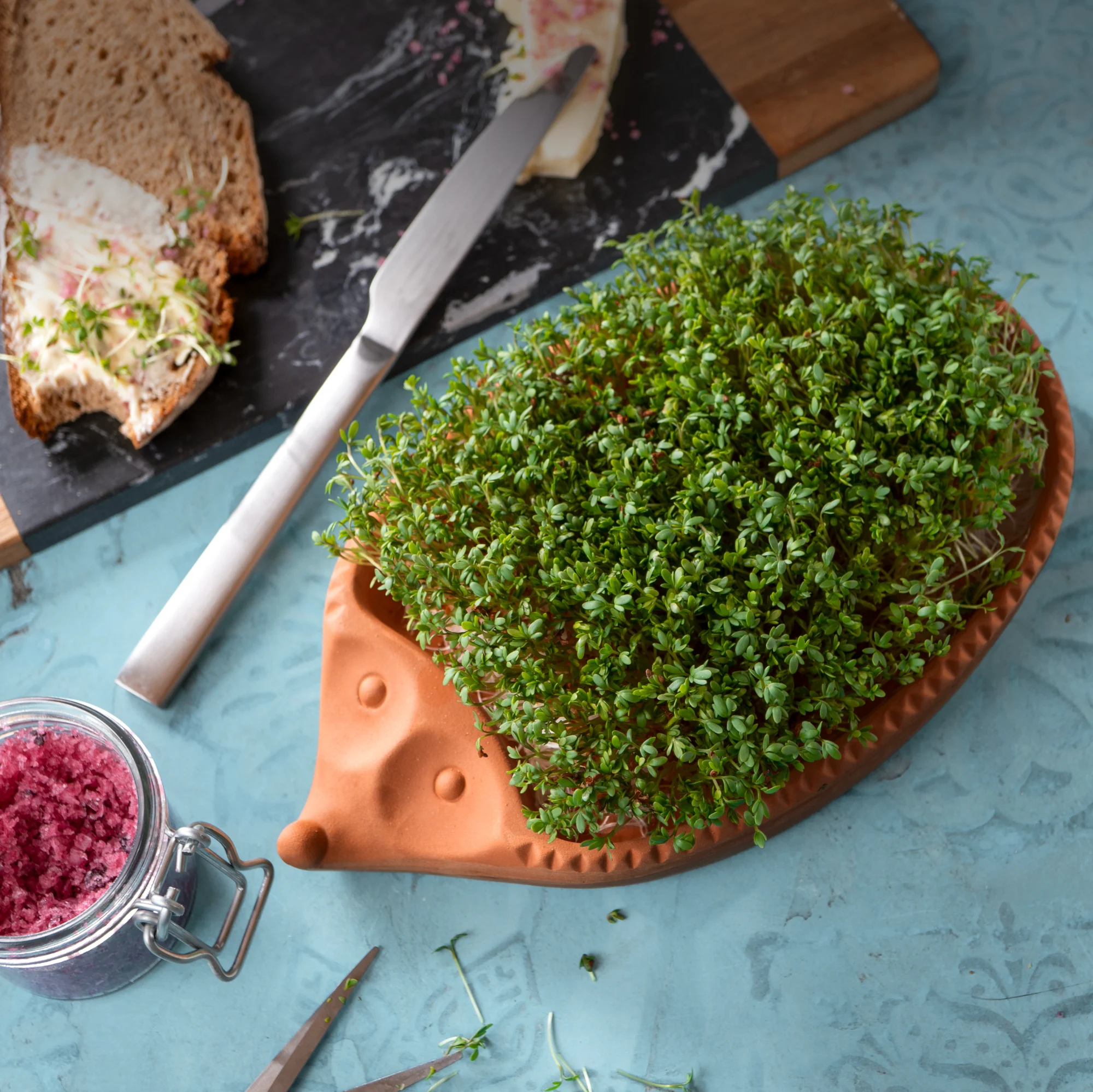 Kresse-Igel aus Ton mit frischer Kresse als grüne Stacheln Keramik-Igel in Braun als Kresse-Igel verwendet, mit dichter, grüner Kresse als „Stacheln“ bewachsen, auf einem Holztisch platziert.