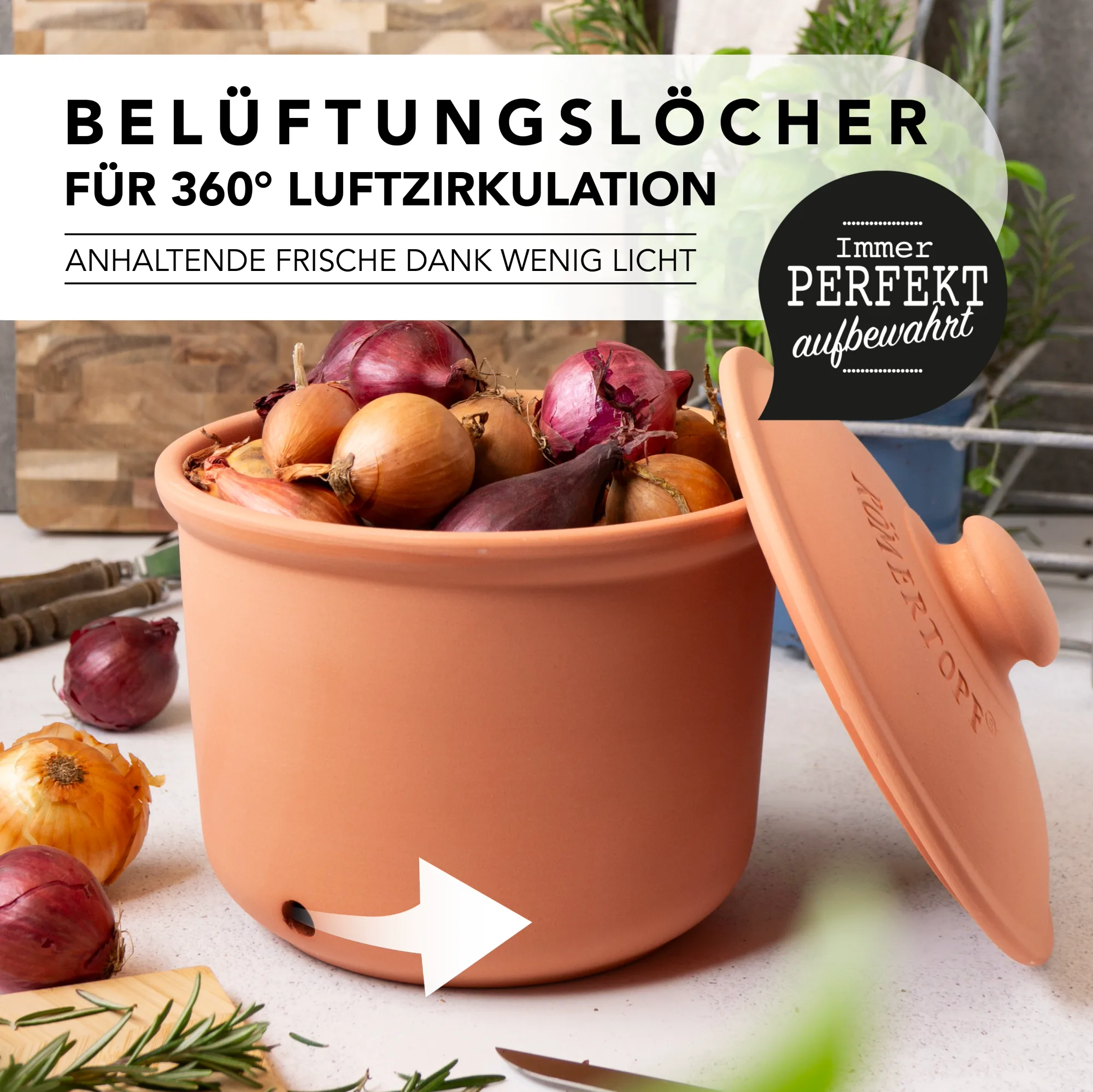 Römertopf Zwiebeltopf aus Naturton mit Deckel – atmungsaktive Vorratsdose für Zwiebeln Runder, brauner Zwiebeltopf aus Ton mit Deckel, geprägt mit dem Wort „Zwiebeln“ und stilisierten Zwiebelmotiven, auf hellem Untergrund.