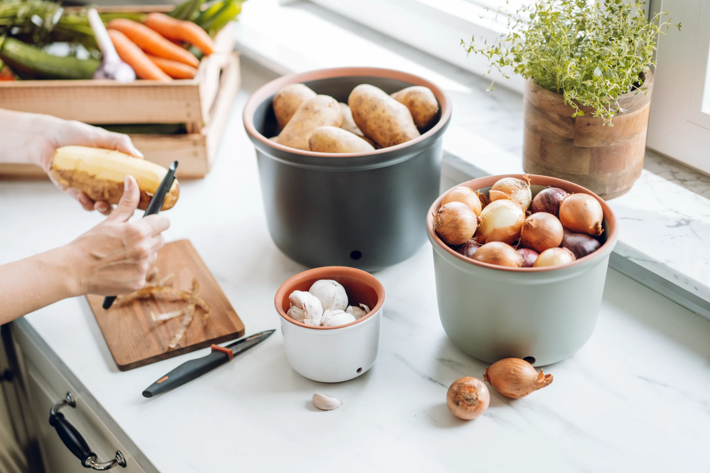 Zwei unglasierte Römertopf-Gefäße aus Naturton in rechteckiger Form mit Deckel, auf einem Holztisch im Freien arrangiert; im Hintergrund frisches Gemüse und Kräuter, darunter Tomaten, Zucchini und Basilikum, die auf die Zubereitung gesunder Speisen hinwei