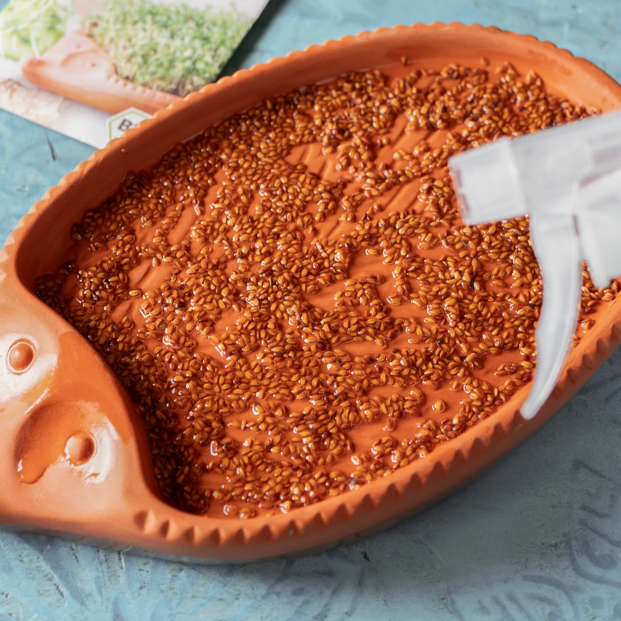 Römertopf Kresse-Igel als dekorativer Kräutertopf für frische Kresse Kresse-Igel aus Ton von Römertopf, seitlich fotografiert, mit grüner Kresse als „Stacheln“ auf dem Rücken; steht auf einem Holztisch mit unscharfem Hintergrund.