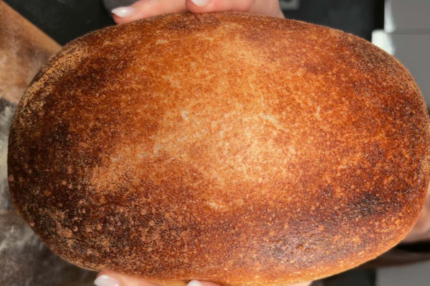 Bauernbrot mit Sauerteig im Römertopf