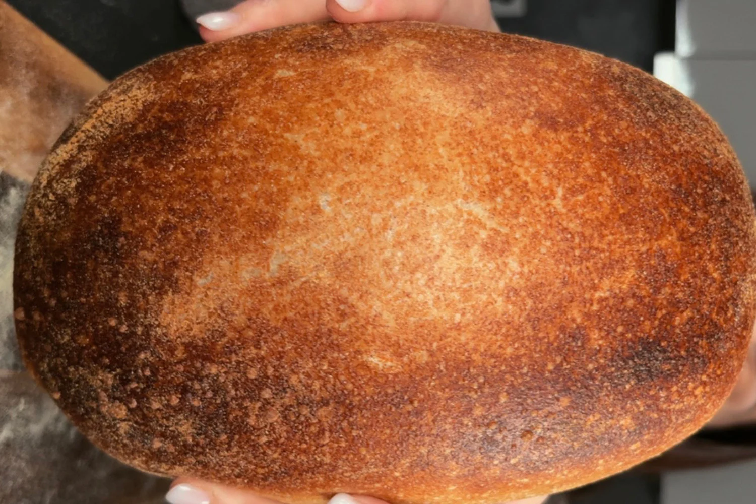 Bauernbrot mit Sauerteig im Römertopf